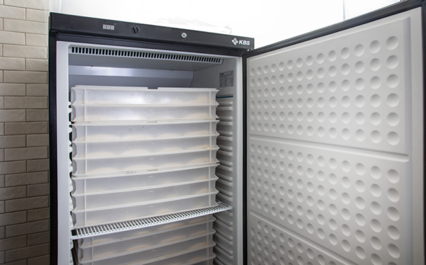 Umluft Gewerbekühlschrank KBS 602 U Black Line – Bild 3